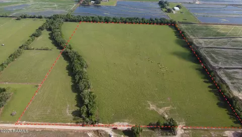 35 Ac Howard Rd, Iota, LA 70543