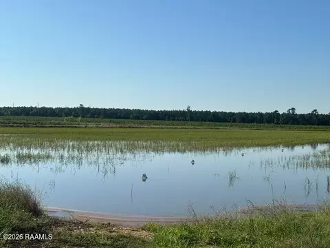 La Hwy 104, Oberlin, LA 70655
