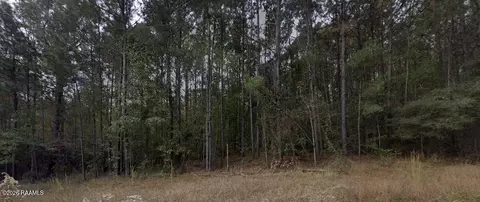 0001 Soileau Dr, Many, LA 71449