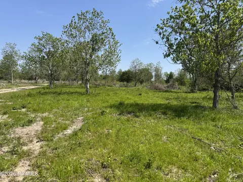 9712 Romules Rd, Kaplan, LA 70548 photo 4