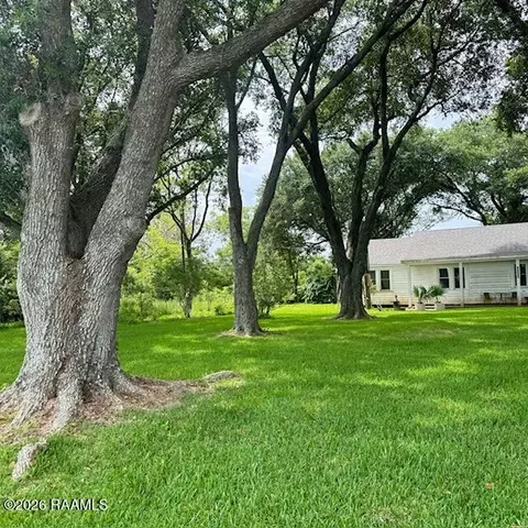 24337 Chestnut Rd, Kaplan, LA 70548 photo 3