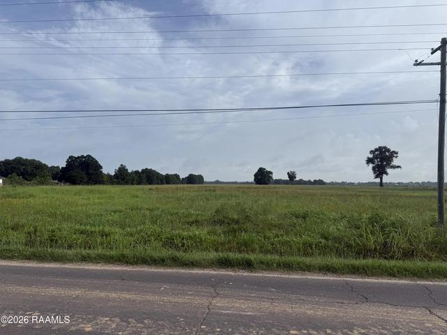 tbd Whiteville Rd, Ville Platte, LA 70586