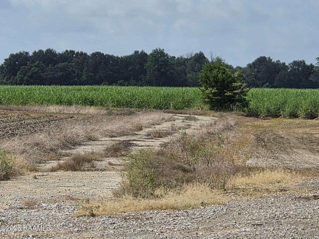 2101 Savoy Rd, Youngsville, LA 70592