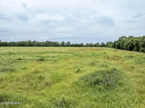 1182 Saint Julien Rd, Eunice, LA 70535 photo 8