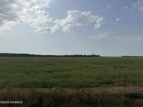 tbd Whiteville-tract 9 Rd, Ville Platte, LA 70586