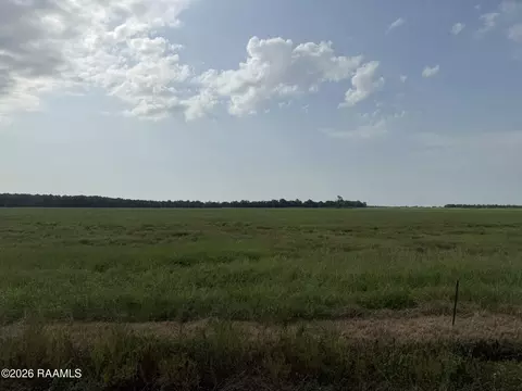 tbd Whiteville Rd- Tract 10 Rd, Ville Platte, LA 70586