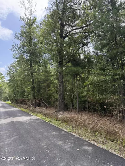 tbd Stage Coach Rd, Saint Landry, LA 71367