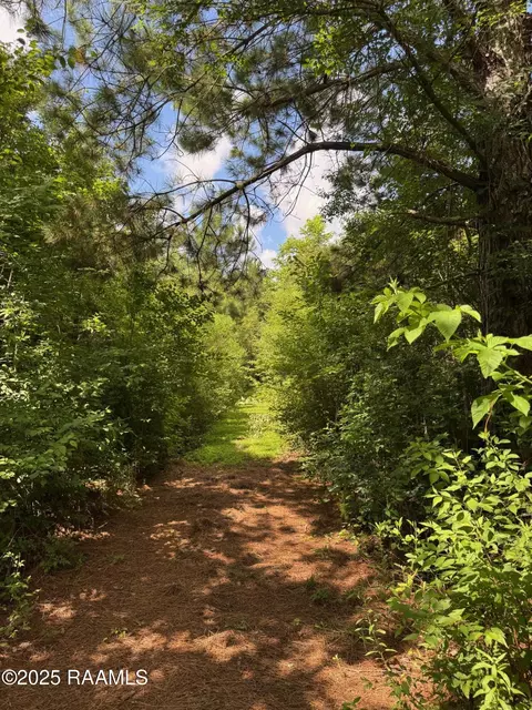 tbd Lot 3 Frozard Rd #3, Arnaudville, LA 70512