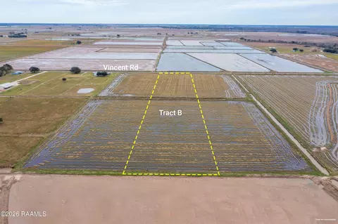Tract B Vincent Road, Mermentau, LA 70556