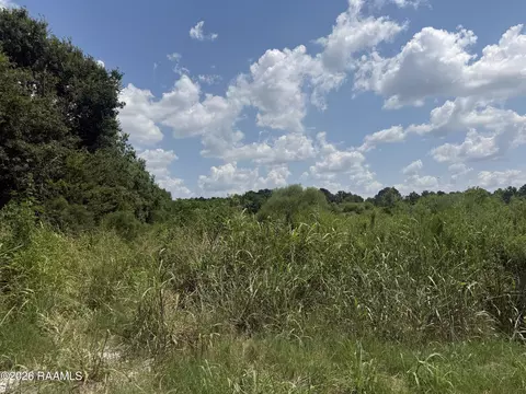 Headless Brg Road, Mamou, LA 70554 photo 3