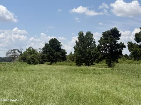 Headless Brg Road, Mamou, LA 70554 photo 2