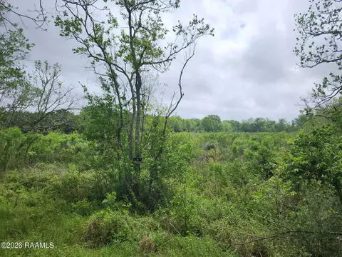 Road, Kaplan, LA 70548 photo 3