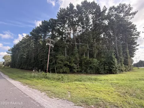 Beaver, Ville Platte, LA 70586
