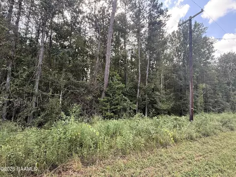 Leman Road, Ville Platte, LA 70586