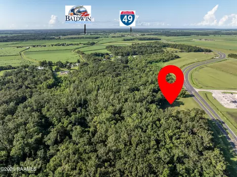 372 Dinkins Rd, Baldwin, LA 70514 photo 6