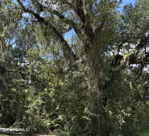 tbd Oakshadows Dr, Abbeville, LA 70510