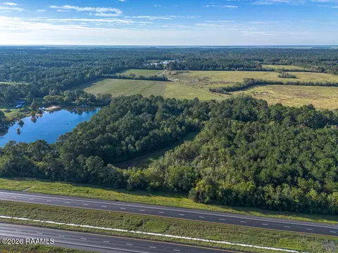 tbd Plant Rd, Egan, LA 70531 photo 3