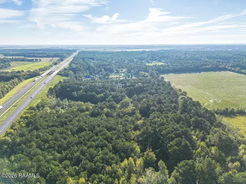 tbd Plant Rd, Egan, LA 70531 photo 8