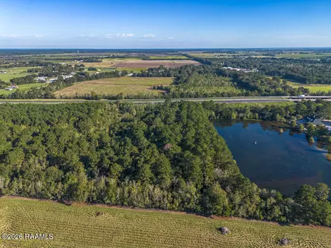 tbd 2 Plant Rd, Egan, LA 70531 photo 5