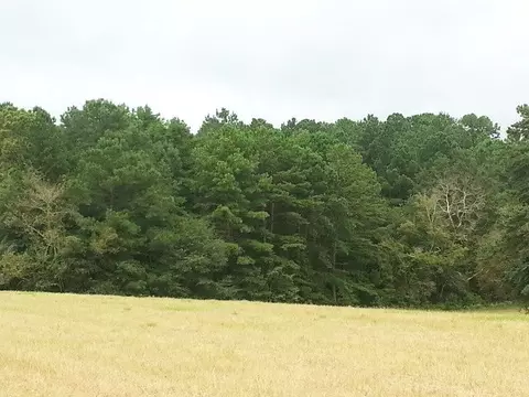 124 Northcross Rd, Gray, GA 31032 photo 5
