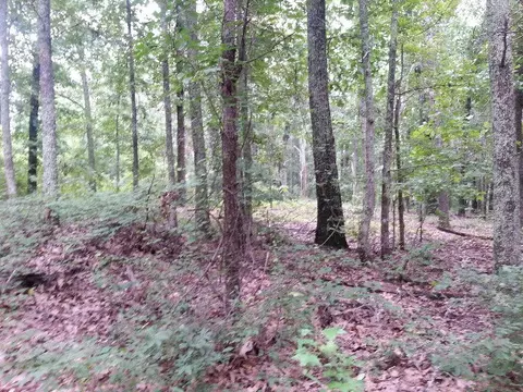 124 Northcross Rd, Gray, GA 31032 photo 4