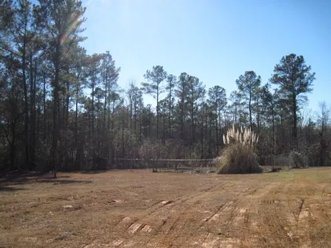 65 Bagley Rd, Forsyth, GA 31029 photo 19