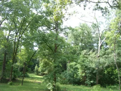 196 Glosson Rd, Gray, GA 31032 photo 31