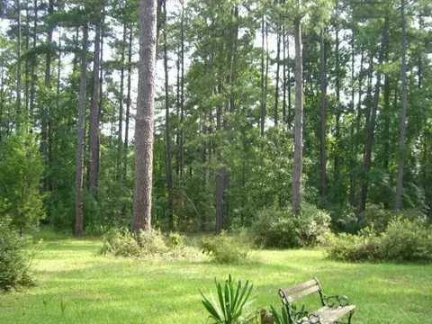 196 Glosson Rd, Gray, GA 31032 photo 30