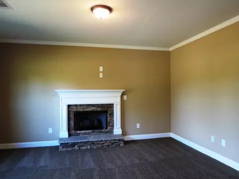 264 Hedgewood Dr, Hampton, GA 30228 photo 13
