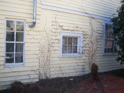 311 Pierce, Macon, GA 31204 photo 34