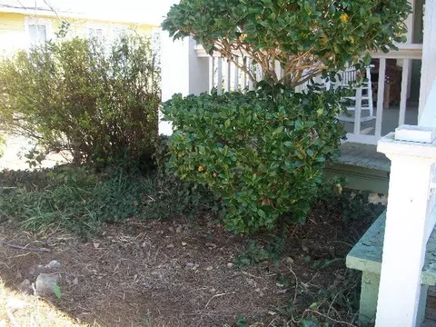 311 Pierce, Macon, GA 31204 photo 21