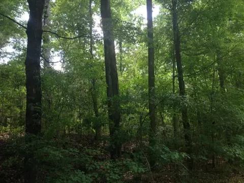 8311 Rock Mill Rd, Macon, GA 31220 photo 1