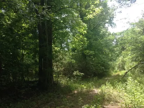 8311 Rock Mill Rd, Macon, GA 31220 photo 2