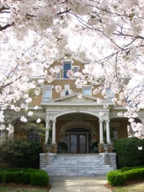 373 College St, Macon, GA 31201 photo 45
