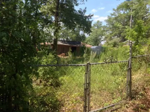 4217 Mark Pl, Macon, GA 31204 photo 19