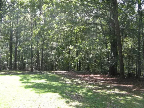 239 Creekside Dr, Gray, GA 31032 photo 26