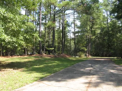 239 Creekside Dr, Gray, GA 31032 photo 23