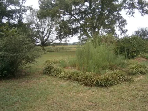 5091 Pine Level Rd, Oglethorpe, GA 31068 photo 2