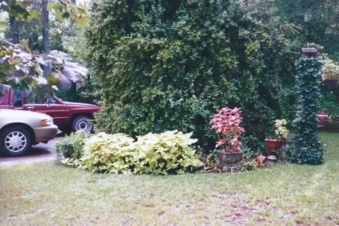 102 Jackson St, Byron, GA 31008 photo 7