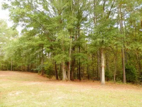 427 Boxankle Rd, Forsyth, GA 31029 photo 2