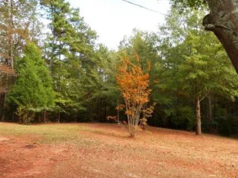427 Boxankle Rd, Forsyth, GA 31029 photo 18