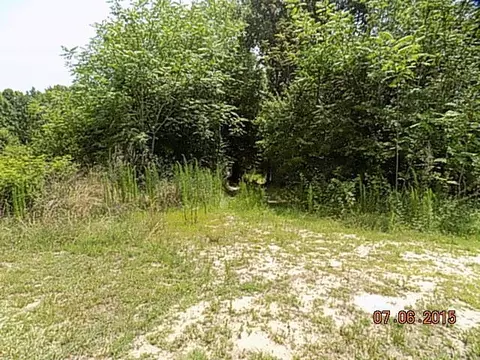 1565 Dent Rd, Musella, GA 31066 photo 4