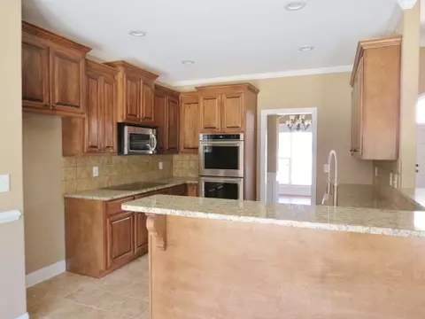 713 Weathersby Chase, Hampton, GA 30228 photo 14