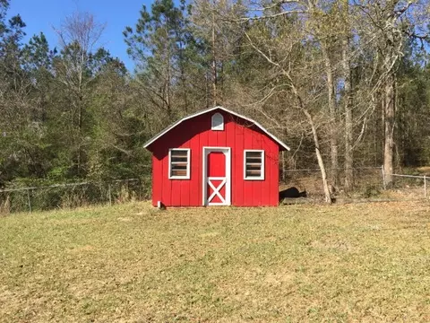 176 Lakeview Dr, Roberta, GA 31078 photo 2
