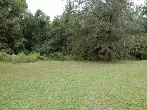 176 Lakeview Dr, Roberta, GA 31078 photo 16