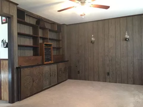 176 Lakeview Dr, Roberta, GA 31078 photo 4