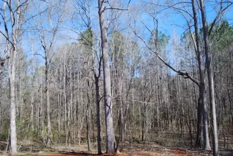 1105 Porter Cir, Gray, GA 31032 photo 21