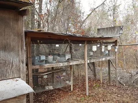 2085 Jackson Rd, Roberta, GA 31078 photo 27