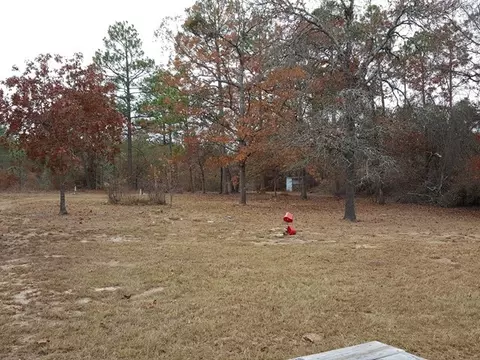 2085 Jackson Rd, Roberta, GA 31078 photo 29