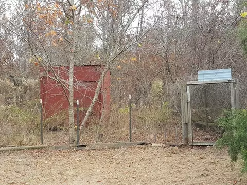 2085 Jackson Rd, Roberta, GA 31078 photo 25
